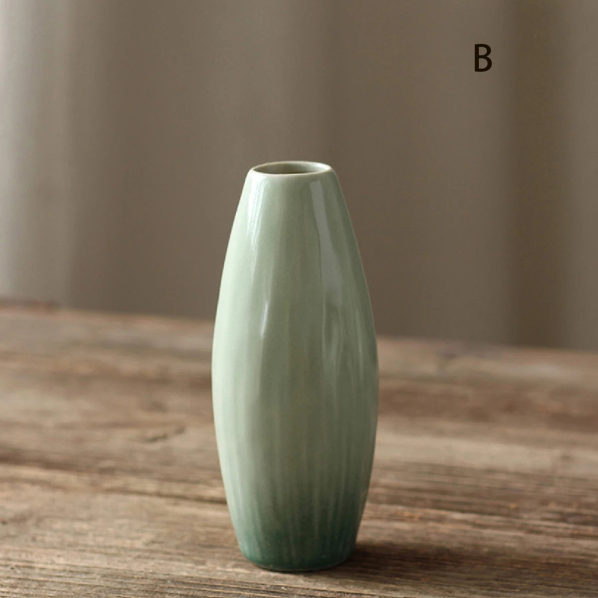 Simple Ceramic Hydroponic Vase β Small Decorative Plant Pot for Living Room & Dining Table