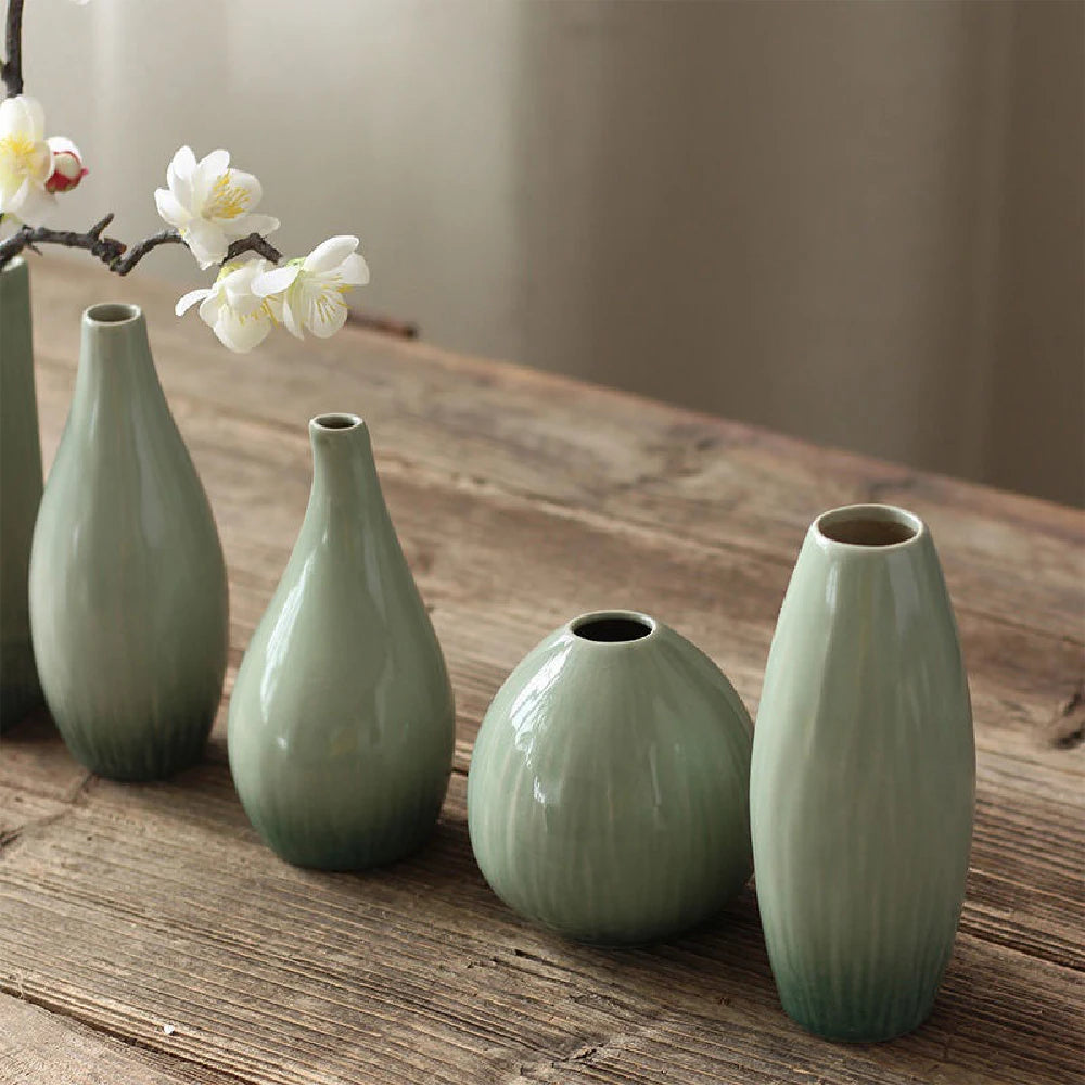 Simple Ceramic Hydroponic Vase – Small Decorative Plant Pot for Living Room & Dining Table