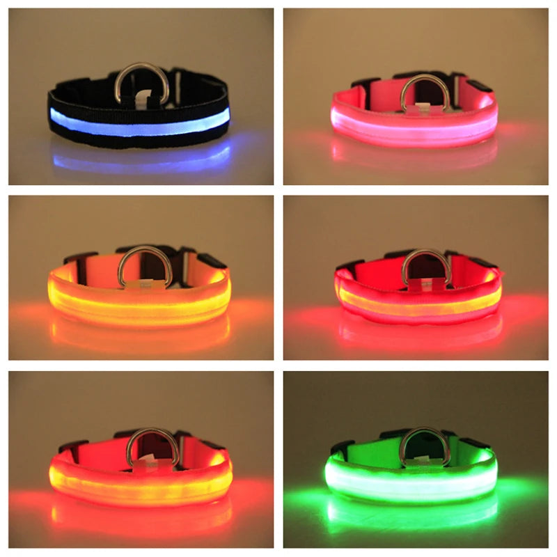 LED Glow Dog Collar